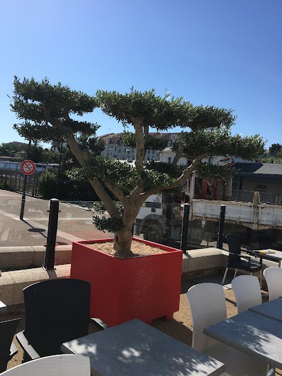 Le Café du Port, Pizzeria à Pornic