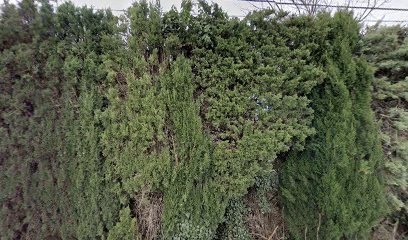 O VIEUX FOURNEAU, Pizzas à Emporter à Saint-Paul-Trois-Châteaux