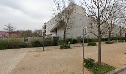 Pizza LAZIO (Camion), Pizzeria à Sathonay-Camp