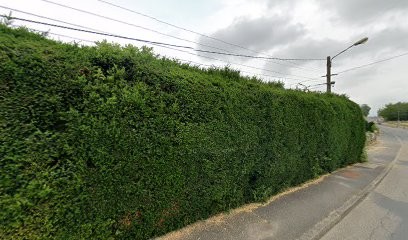 Badelino Christian Raymond, Pizzeria à Sarrebourg