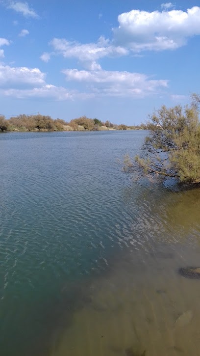 Royal Pizza, Pizzeria à Vailly-sur-Aisne