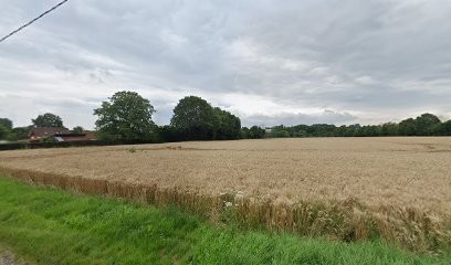 Krono, Pizzeria à Torcy