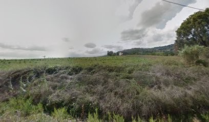 El corsica, Pizzeria à Lucciana