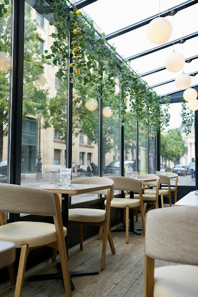 Pizzeria Iovine's, Pizzeria à Paris 01